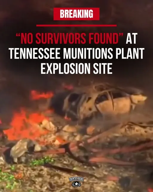 559138132 887262676980624 7770805575976036618 n