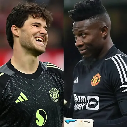 566217823 122209260188279738 2795072126770090318 n