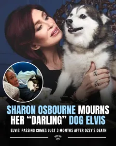 566322898 895193626187529 3442356232277752136 n