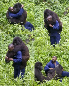 571108283 819347837746321 8480120316130885776 n