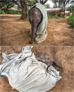 571513177 122206189892056290 2910679297596433793 n