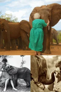 122d2f86 ec46 4377 b75c 93a8bdf835ba