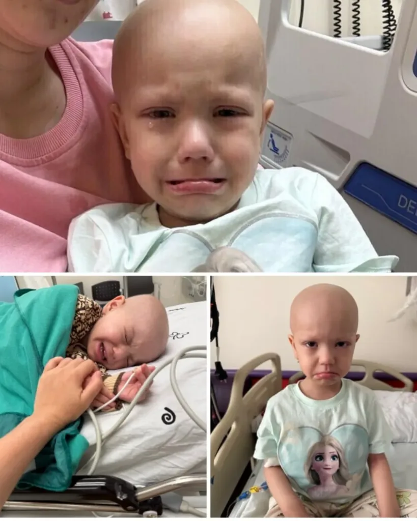 Selina: A Courageous Young Girl Battling for Her Life After a Bone Marrow Transplant Selina: A Courageous Young Girl Battling for Her Life After a Bone Marrow Transplant