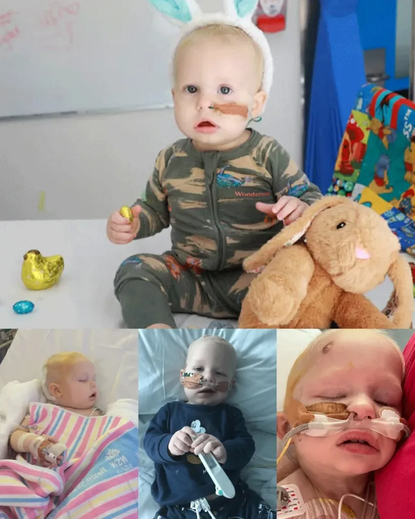 A Mother’s Commitment: Ryder's Journey Through Rare Brain Cancer and His Return to Life A Mother’s Commitment: Ryder's Journey Through Rare Brain Cancer and His Return to Life