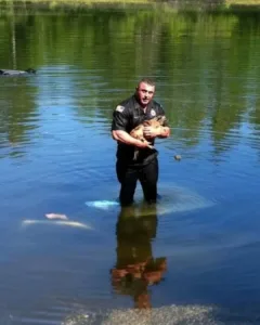 Bravery in Action: Officer David Harriman's Remarkable Dog Rescue