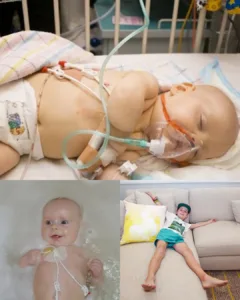 Joel’s Journey: From Fragile Beginnings to a Life Fully Lived