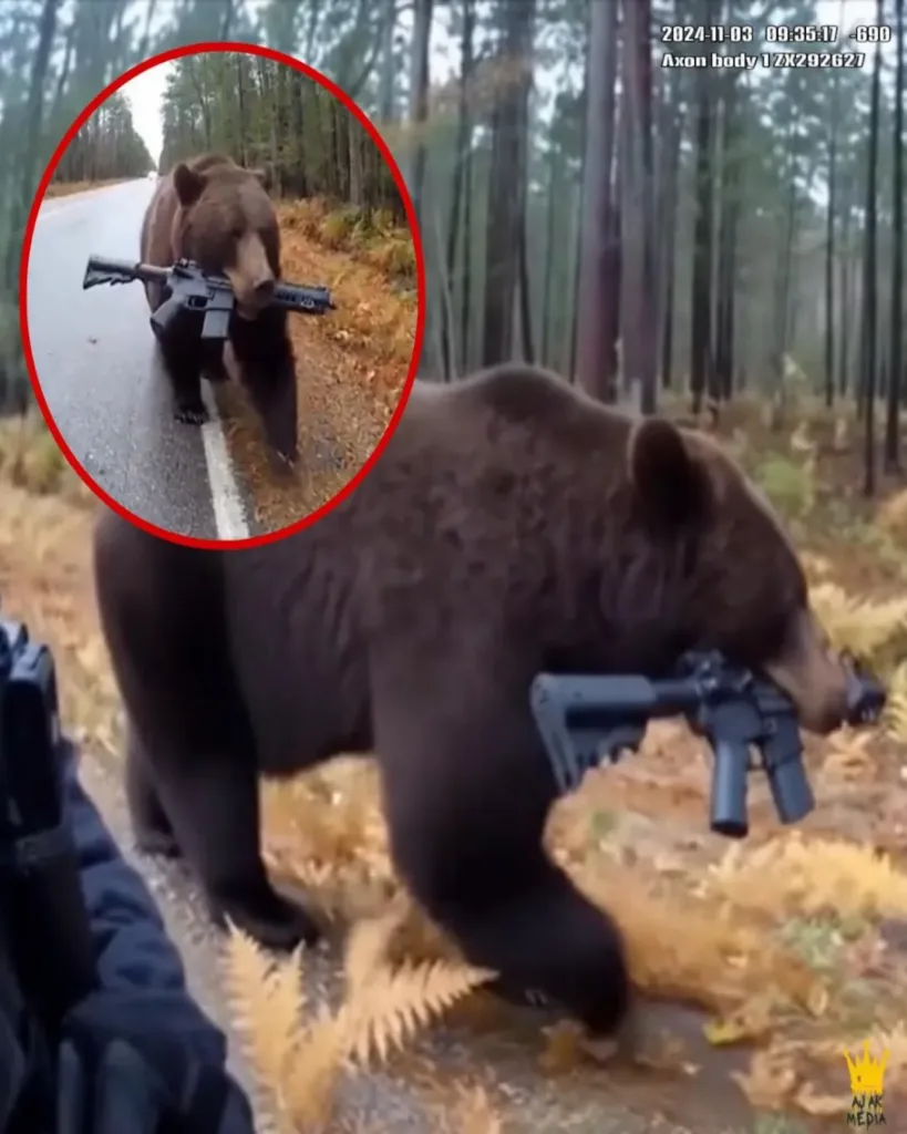 The Pregnant Bear with a Rifle: A Tale of Grief, Instinct, and Unexpected Symbolism The Pregnant Bear with a Rifle: A Tale of Grief, Instinct, and Unexpected Symbolism