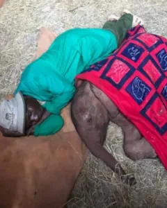 He Wept All Night for His Mother — Until Love in Blue Arrived