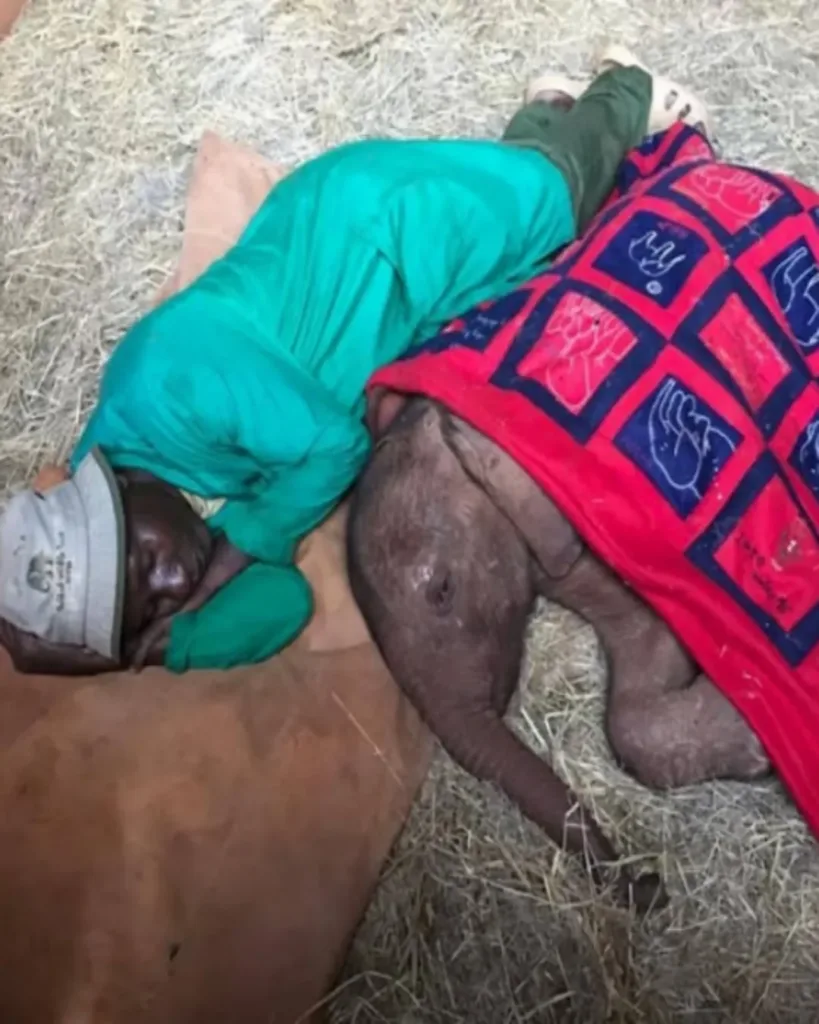 He Wept All Night for His Mother — Until Love in Blue Arrived