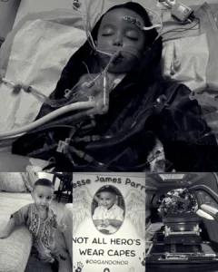 A Little Hero Named Jesse – How One Toddler’s Final Gift Brought Life to Others