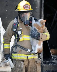 When Compassion Encountered Fire – The Tale of Firefighter Daniel Cruz and Ashes