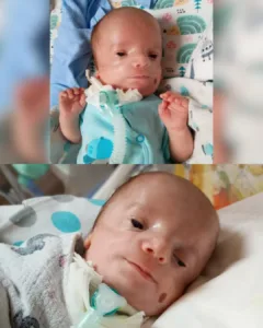 Wojtuś’s Delicate Battle – A Tale of Bravery Before His First Breath