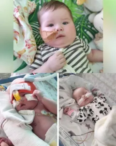 A Delicate Heart, a Determined Battle — Milenka’s Journey A Delicate Heart, a Determined Battle — Milenka’s Journey