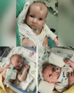 Oliwka’s Struggle for Breath: A Brave Little Fighter’s Journey Oliwka’s Struggle for Breath: A Brave Little Fighter’s Journey