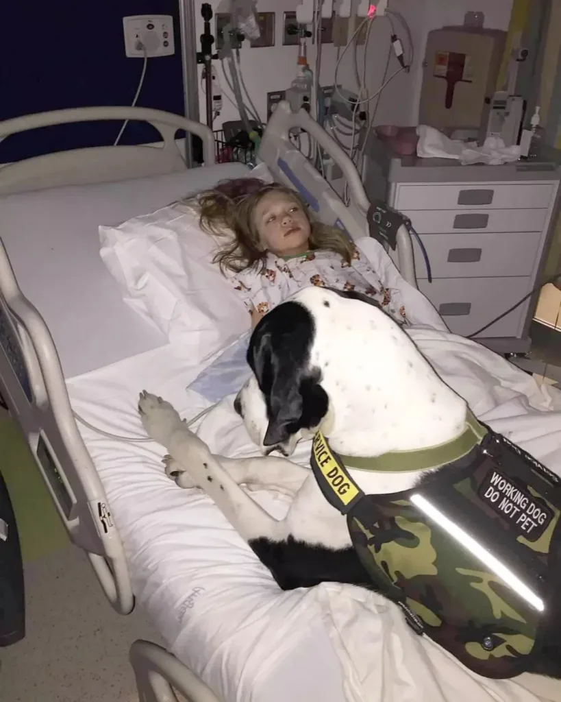 The Golden Guardian: A Dog's Love and a Little Girl's Healing Journey The Golden Guardian: A Dog's Love and a Little Girl's Healing Journey