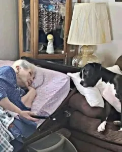 The Sacred Need for Connection in Old Age