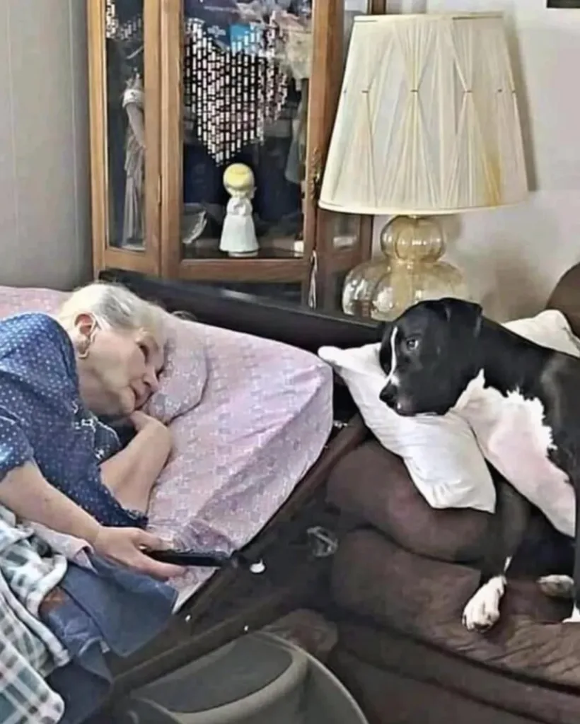 The Sacred Need for Connection in Old Age The Sacred Need for Connection in Old Age