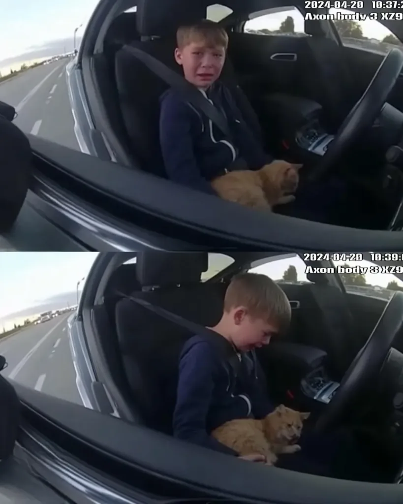 13-Year-Old Stopped by Police While Racing to Save His Cat — Gains Officer's Admiration
