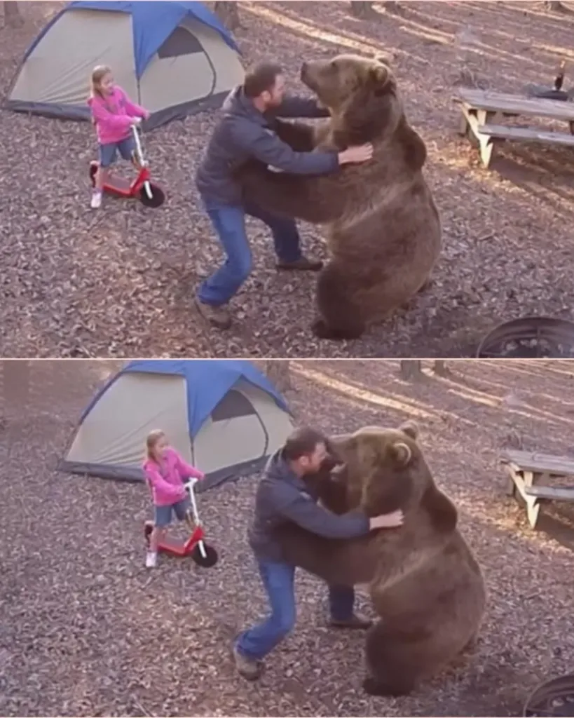 Father Battles 300-Pound Grizzly Bear to Protect His Daughter — “Adrenaline Is One Powerful Force” Father Battles 300-Pound Grizzly Bear to Protect His Daughter — “Adrenaline Is One Powerful Force”