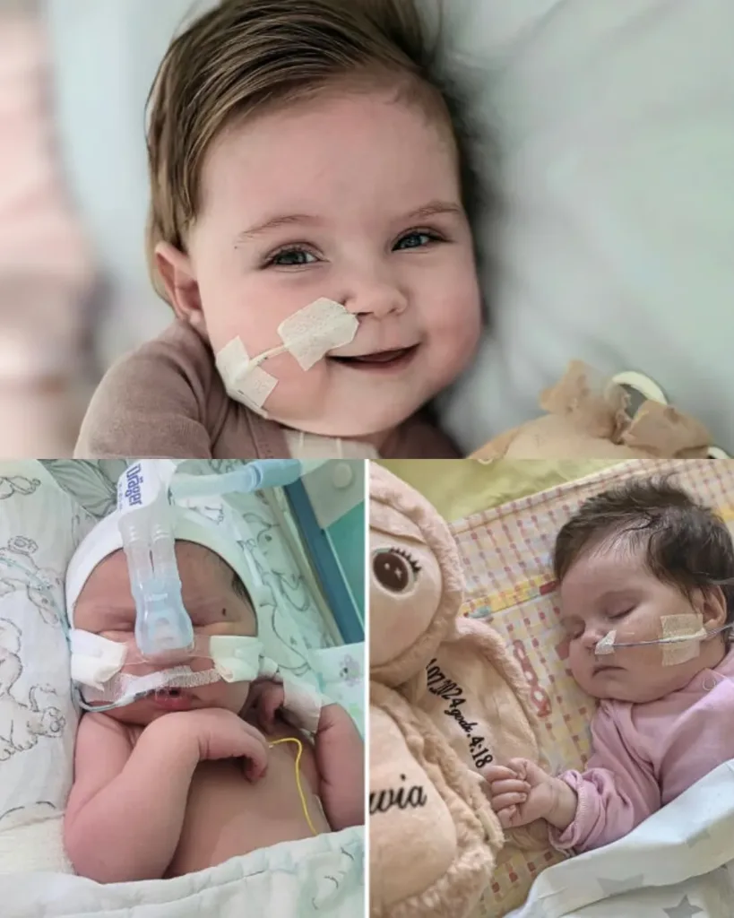 Oliwka's Journey: A Battle for Life with Half a Heart