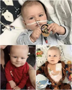 A Second Battle for Life: Little Miłoszek’s Fight Against Cancer A Second Battle for Life: Little Miłoszek’s Fight Against Cancer