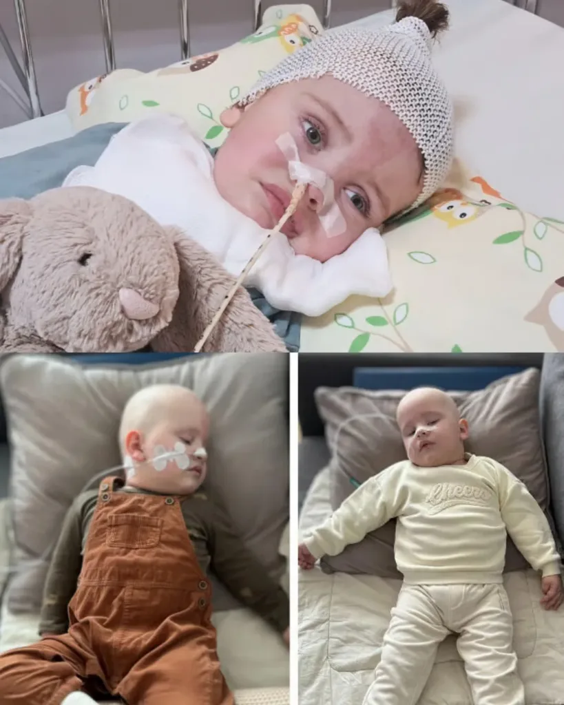 For Jaś — The Little Boy His Parents Longed to Embrace for Six Years For Jaś — The Little Boy His Parents Longed to Embrace for Six Years