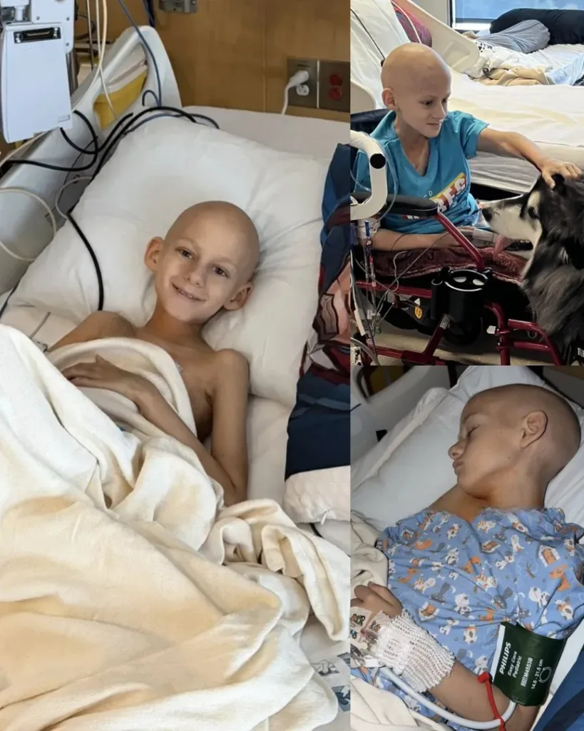 A Day of Light for Gavin — The Boy Who Refuses to Give Up A Day of Light for Gavin — The Boy Who Refuses to Give Up