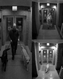 TWO HEARTS REUNITED: THE JOURNEY OF JOHN AND SALLY