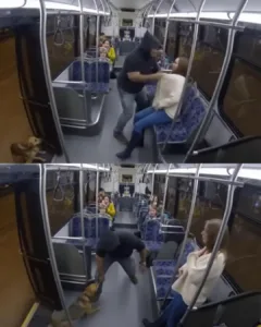 The Canine Hero: Stray Dog Rescues Woman from Assault in Breathtaking Bus Stop Video