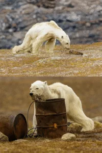 54e0bfc8 be9c 48b8 8dc9 a39169345717