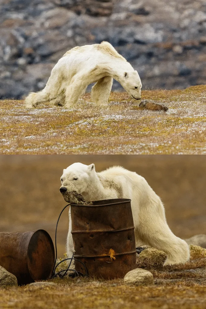 54e0bfc8 be9c 48b8 8dc9 a39169345717