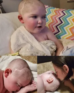 Charley’s Last Haircut: A Lesson in Letting Go with Love