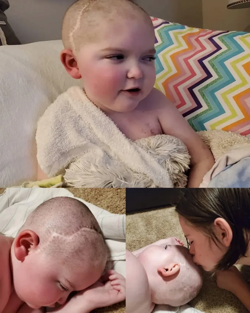 Charley’s Last Haircut: A Lesson in Letting Go with Love