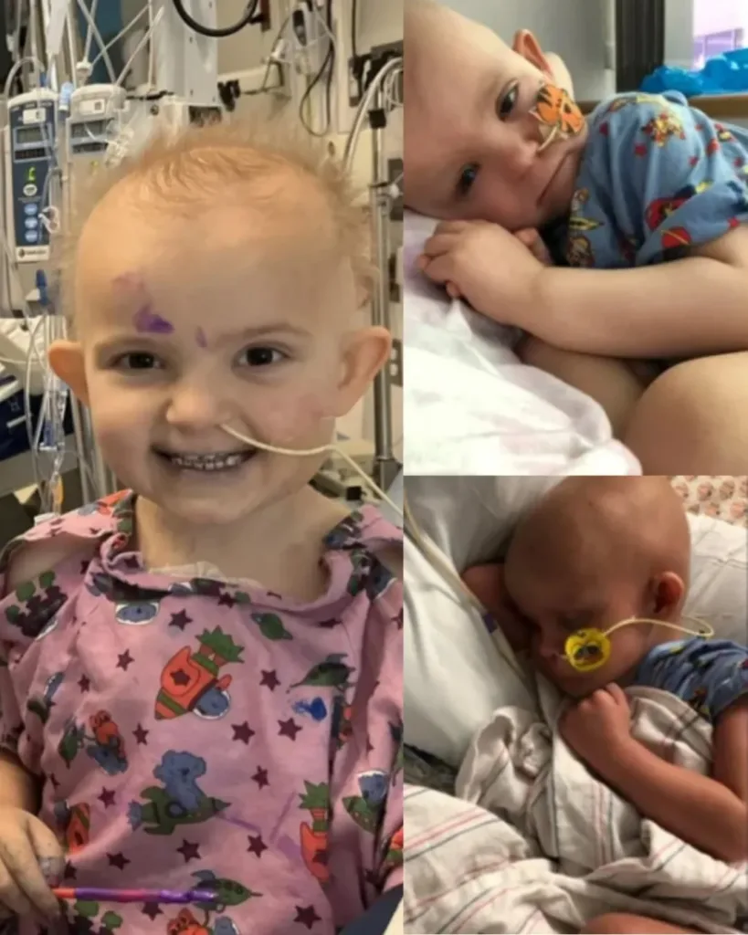 Evelyn Grace Jackson: A Legacy of Courage and Love from a Tiny Warrior Evelyn Grace Jackson: A Legacy of Courage and Love from a Tiny Warrior