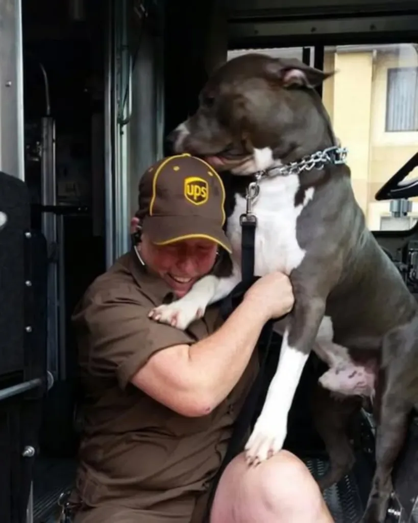 When the Mail Stopped, Love Arrived: The Tale of Katie and Leo When the Mail Stopped, Love Arrived: The Tale of Katie and Leo