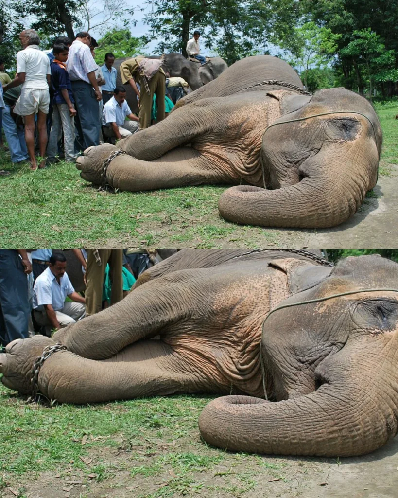 574389435 812640245070628 7256883057645555677 n