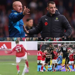 574870574 802225692584006 3693320736309441287 n