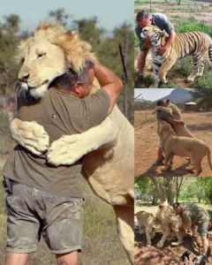 577646974 829721776708927 1828548686711837559 n