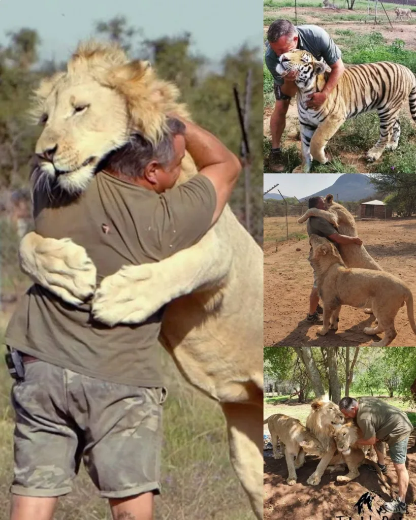 577646974 829721776708927 1828548686711837559 n