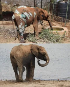 582286220 122207648234056290 3616253240374091868 n