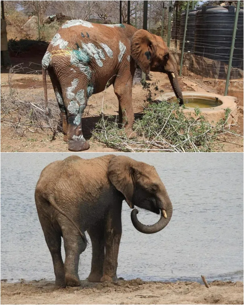 582286220 122207648234056290 3616253240374091868 n