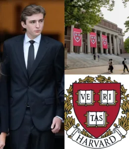 582299671 808928232121853 5608750725458175297 n