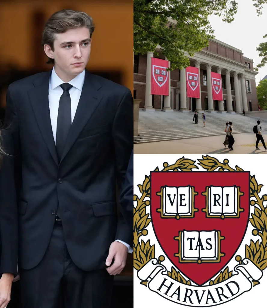 582299671 808928232121853 5608750725458175297 n