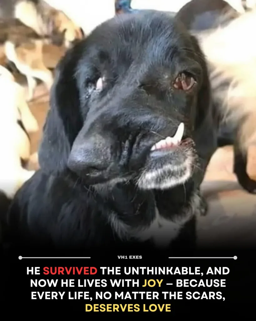 583295678 1127783272904346 1166490950520645022 n