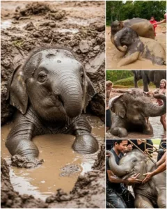 584445084 798820719785318 6845689871415102311 n