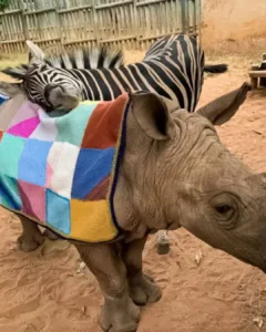 584973724 122232198716125713 6170825728383786973 n