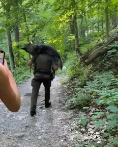 A Hero's Journey: The Selfless Act That Rescued a Dog's Life A Hero's Journey: The Selfless Act That Rescued a Dog's Life