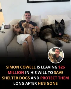 He knew he couldn’t save every dog while he was alive, so he made sure he could keep saving them long after he was gone. 585903747 122186106158529881 2768782116626165395 n