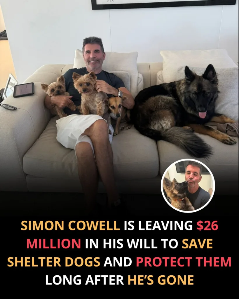He knew he couldn’t save every dog while he was alive, so he made sure he could keep saving them long after he was gone. 585903747 122186106158529881 2768782116626165395 n