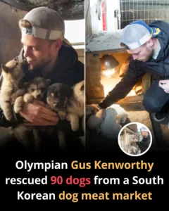 586254241 122185906304529881 2385794024366800815 n